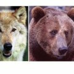 kevin.wortham@yahoo.com