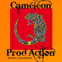 cameleon-prodaction