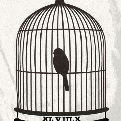 Stream Birdcage Industries music Listen to songs, albums, playlists