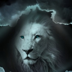 noor alhussain