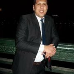 Mohamed H. Metwally