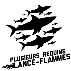 PlusieursRequinsLanceFlam