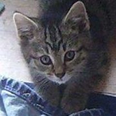 03 Even Though We Ain't Got Money