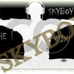 DJ SKYboy