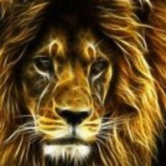 Favorite reggae mixes
