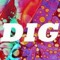 DIG (band)