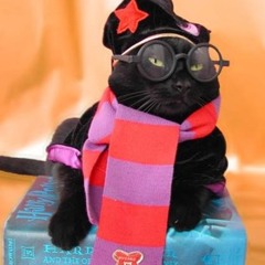 Acquire currency disregard females