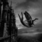 M.Toshev