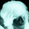 loveskittles64