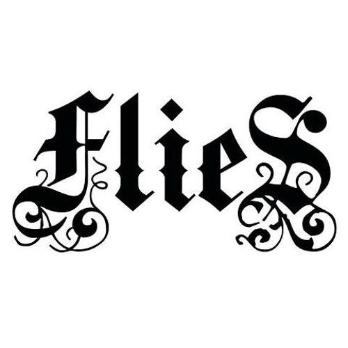 SoundCloud profile picture for @flies