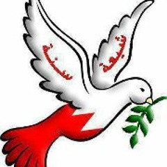 Haitham Abdulaal