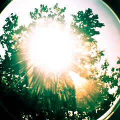 minitkdelmar_afterhours