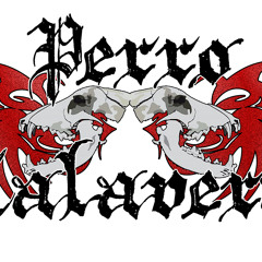 perrocalavera