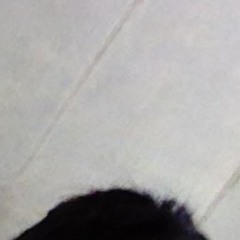 FoC