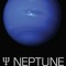 Mr Neptune