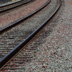 Obstlerbahndammcharlies