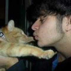 Rosalino De Dominicis