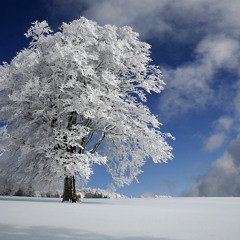 MidnightIllumination