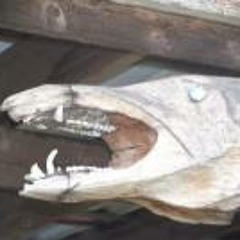 Eric Hjerstedt Sharp