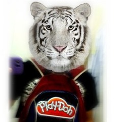 D J , P L Λ Y D Ø H