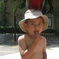ophoto17