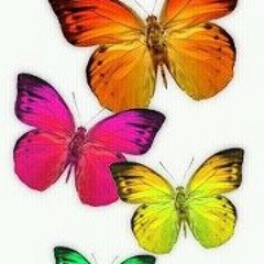 reggaeluv