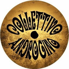 collettivoandrogino2