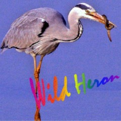 Wild Heron