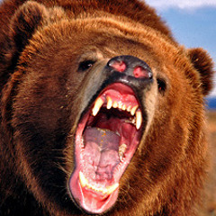 bearlytwisted