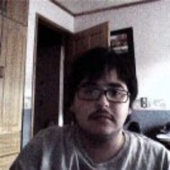 Rodrigo Andres Salinas