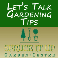 Let's Talk Gardening Tips