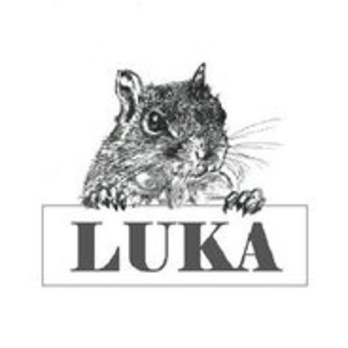 Luka Jovanovic 3’s avatar