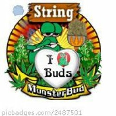 Monsterbud String
