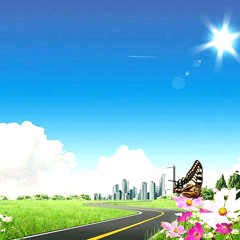 user13423