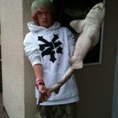 Dion Braden Harrison