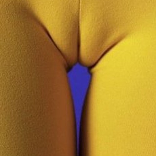 Closeup Cameltoe