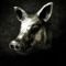roccochon