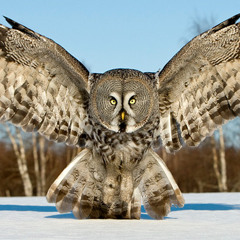 Ear Hustlas/ Rather Unique Music