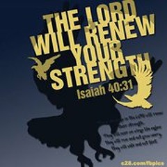 Michael Wilson Parks