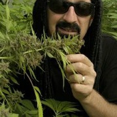 Manuel Van Dauerraus