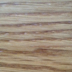 m_scholin