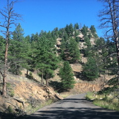 This That & The Other