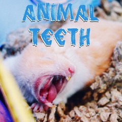 Animal Teeth