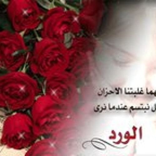 الشيخ محمديحي الشرقاوي