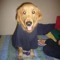 Raul Gomez 5