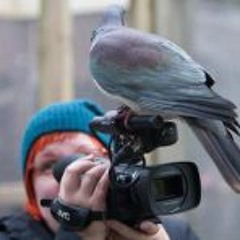 Soile Mottisenkangas