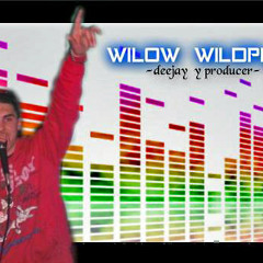 willow-wildplay