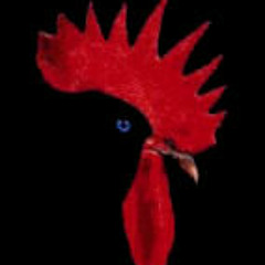 Blackroosters