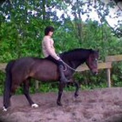 user7610642