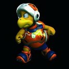 Florian Heising-Reichel